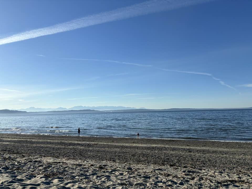 A sandy beach expanse with clear blue skies and deep blue waters in Seatlle